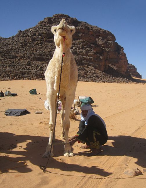 Imessoukal Voyages