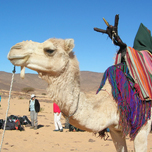 Imessoukal Voyages