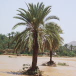 Imessoukal Voyages