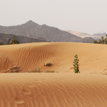 Imessoukal Voyages