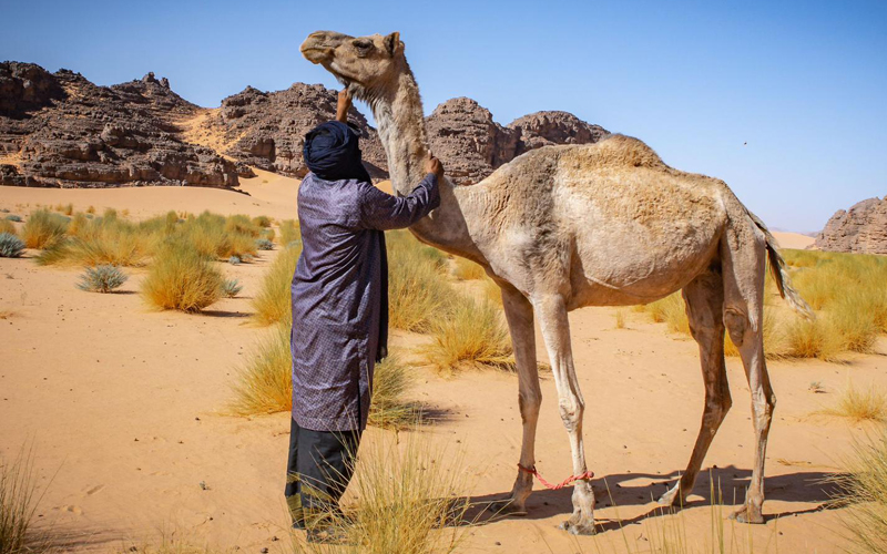 Imessoukal Voyages-Tassili n'Ajjerr