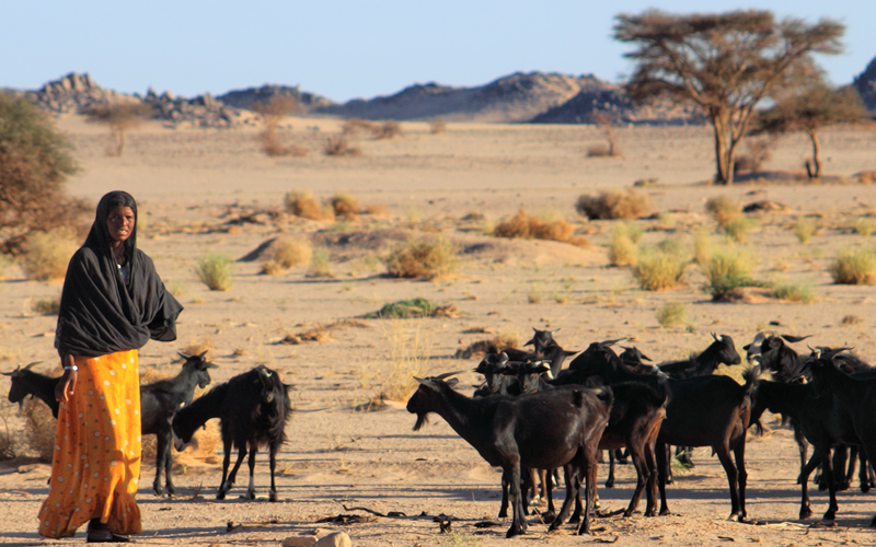 Imessoukal Voyages-Tassili n'Ahaggar