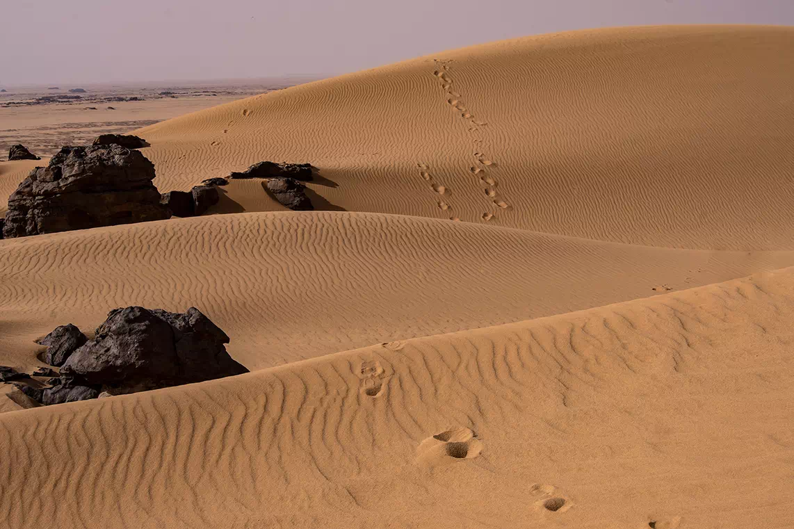 IMESSOUKAL VOYAGES 2 